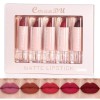 Set De Lápiz Labial Y Brillo Labial Vivid Matte De