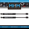 BOXI Set of 2 6518 Rear Hatch Charged Lift Supporst