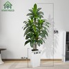 VIVATREES Dracaena Tree 5FT Artificial, 60in Tall Faux Dracaena Tree