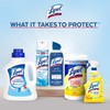 Lysol Disinfectant Spray, Sanitizing and Antibacterial Spray, For Disinfecting and