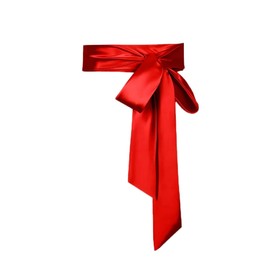 Lillystido Bridal Belt Wedding Party Bridal Satin Special Occasion Dress sash, Red, 2.75*110in