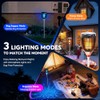 Solar Bug Zapper Outdoor, 4200V 3-in-1 Mosquito Zapper with Flame