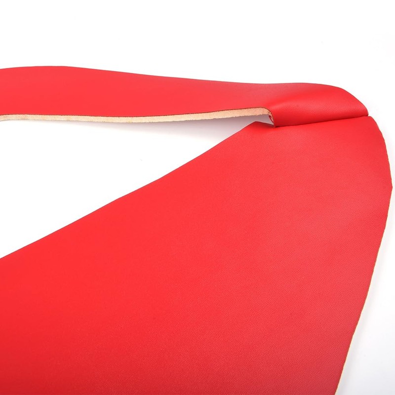 ALLGOOD Armrest Door Panel Insert, Compatible with Ford Mustang 2005-2009,Red