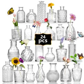 Anquephd 24PCS Mini Bud Vases As Wedding Centerpieces for Tables,Clear Bud Vases for Flowers,Small Flower Vases Suitable for Birthday Party,Anniversary,Wedding Reception,Baby Shower (Clear, 24PCS)