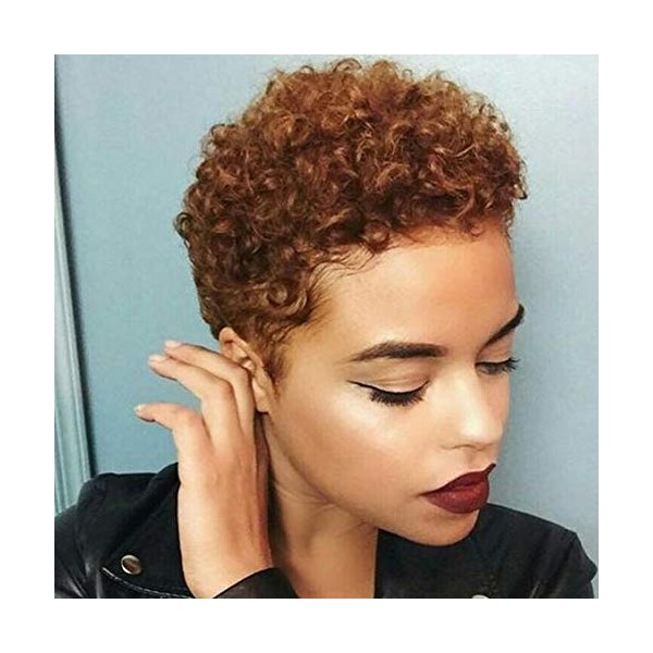 BeiSD Short Afro Kinky Curly Haircuts Short Afro Curly Synthetic Wigs for Black Women African American Women Wigs (YB1091-30#)