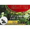 モリンガ粒 沖縄県産100％ 60粒×3袋(合計3か月分) モリンガサプリ 国産モリンガサプリ タブレット