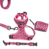 Paw Highness Dog Walking Harness, Collar, Leash & Poo Bag