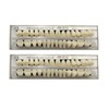 Pack of 56 False Teeth Dentures 2 Sets Synthetic Resin