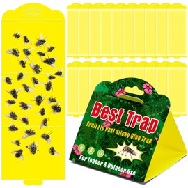 Qualirey 20 Piece Hanging Fruit Flies Traps with Attractant, Yellow Sticky Fly Strips Gnat Traps for Kitchen, Indoor Plants, Garden Strong Adhesive Glue Boards