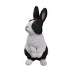 Vivid Arts XRL-PR04-C Dutch Rabbit on Lookout Resin Ornament