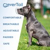 CleverTail Metal Pitbull Muzzle for Large Sized Dog – Basket