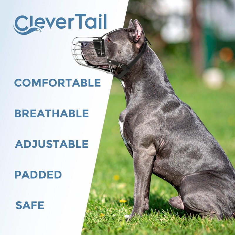 CleverTail Metal Pitbull Muzzle for Large Sized Dog – Basket