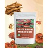 Dried Whole Reishi Mushroom - 2.8 oz, All-Natural Reishi Mushrooms