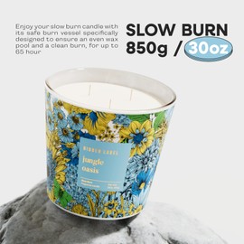 Hidden Label Jungle Oasis Scented,3 Wick Large Candles for Home Scented, 30oz Natural Soy Candles for Home Scented,100 Hour Burn Time, Long Lasting Highly Scented Luxury Candle Gift