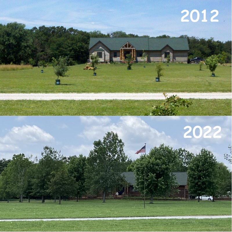 Tree I-V Original Base Root Feeder Watering System - Durable