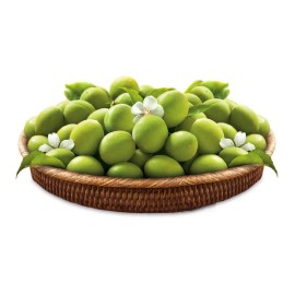 Beksul Korean Beksul All Purpose Plum Extract Syrup 35.2 Ounce 2.2lb Bottle