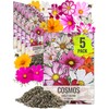 Seed Needs Flower Seeds Cosmos Crazy Blend No Filler 10+