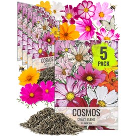 Seed Needs Flower Seeds Cosmos Crazy Blend No Filler 10+ Varieties | Cosmo Bipinnatus Open Pollinated Untreated | Resealable Packaging Keeps Seeds Fresh | Cosmos Flowering Seed Mix (5 Bulk Packs)
