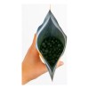 Alga Spirulina Máxima Vegan Kosher Acido Cítrico(vitamina C)