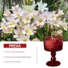 Regalos para Mujer Cumpleaños,Vela Aromatica Set regalo Mujer,Cera con Mezcla