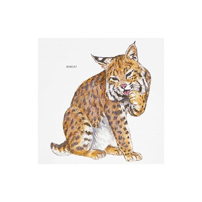 CafePress Bobcat Wild Cat Dog T Shirt Dog T-Shirt, Pet