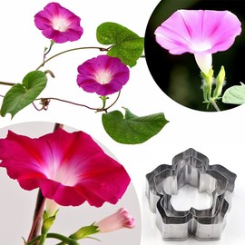 Easiest 3D DIY Morning Glory Petal Gum Paste Fower Cutter Fondant Mold Icing Cookie Tool Sugarcraft Decorating Mould 5 PCS for 5 Sizes