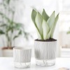 Samhe 4 Pack Self Watering Pots Set, 4+5.5 Inch Self