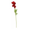 generic Miniflor De Amapola De Una Sola Rama Para Plantar