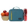 TEAMOOK Lunch Bag Insulated Lunch Box Cool Bag for Adults