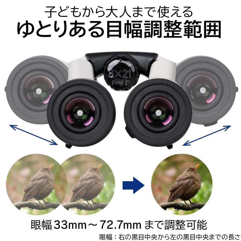 Kenko LK-CL0821 GY Binoculars LOGOS 8 x 21DH 8x Magnification,