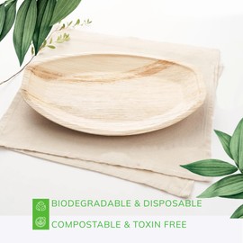 Canape King Disposable Palm Leaf Serving Trays (10 Pcs) - 100% Natural and Biodegradable Oval Large Dinner Food Platters - for BBQ Picnic Christmas Party Weddings (34 x 23 cm)