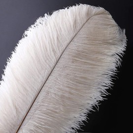 10pcs Natural Ostrich Feather Plume - 14-16 Inch (35-40cm) Wedding Centerpiece Home Decor (35-40cm,White)