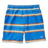 Speedo Hydro Volley - Pantalones cortos de natación para hombre,