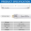 Wesome Lighting 8 Pack 12 Inch F8T5/CW Fluorescent Light Bulb,