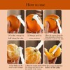 Orange Peeler Tool & Citrus Peeler- 304 Stainless Steel Fruit