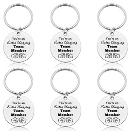 Vadaka 6 Pcs Team Appreciation Keychain Employee Appreciation Gift for Women Thank You Keychain For Coworkers Team Gifts for Employees Going Away Retirement Birthday Gift for Coworker Team Member