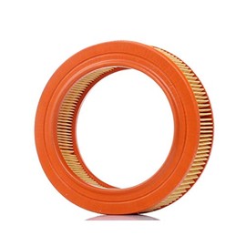 Purflux A194 Air Filter