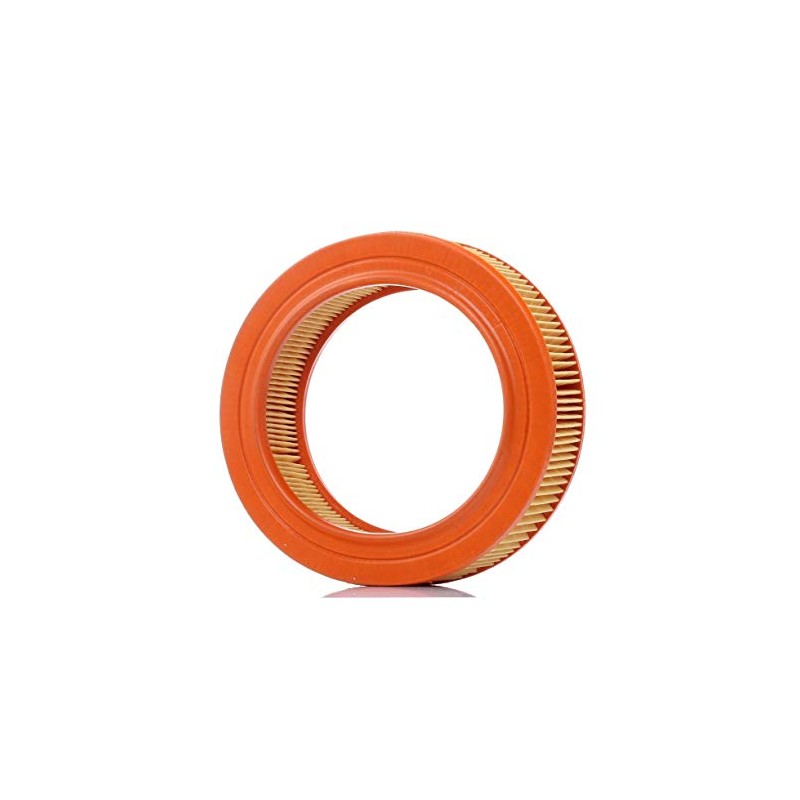 Purflux A194 Air Filter