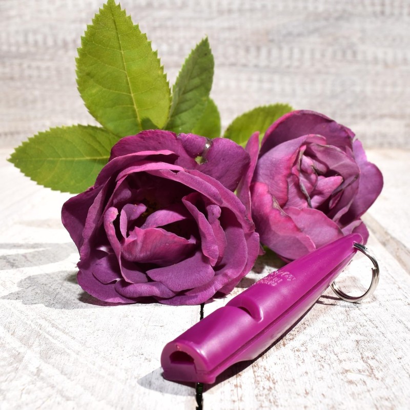 ACME Dog Whistle No. 210.5 with Instructions (English language not