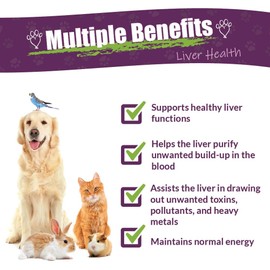 Amber NaturalZ Life Cell Support Herbal Supplement for Dogs, Cats, Birds, Rabbits, and Guinea Pigs | Supports Normal Liver Function and Lymphatic Health | Natural Aid for Detoxification
