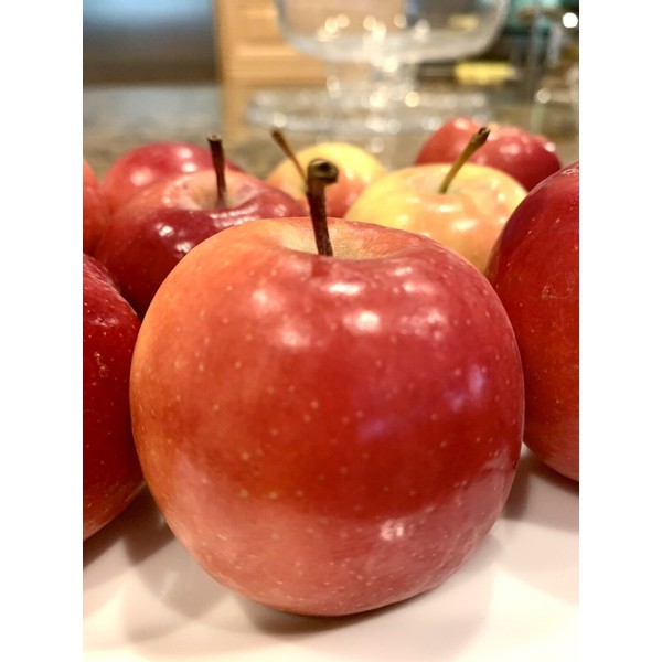 Home-Growth Crisp, Sweet Miniature Apple, Rockit Apple - 10 Seeds