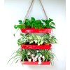 LaLaGreen Hanging Wall Planter - 16 Inch Three Tier Plant