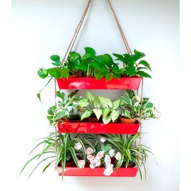LaLaGreen Hanging Wall Planter - 16 Inch Three Tier Plant Hanger for Succulent Indoor Herb Planter Metal Wall Plant Holder Bright Red Christmas Decor, Vertical Garden Hanging Planter Shelf Outdoor