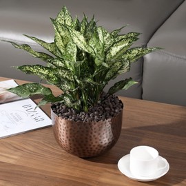 MyGift - Maceta para interior de metal en tono cobre envejecido con diseño martillado, pequeño tazón redondo con borde vivo decorativo, hecho a mano en la India