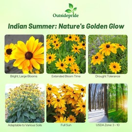 Outsidepride Indian Summer Gloriosa Daisy Seeds – 200 Pcs Perennial Rapid Growing, Heat & Drought Tolerant Rudbeckia Hirta Daisy Flower Seeds for Vibrant Meadows & Garden Borders (AAS Winner)