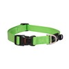 ROGZ Utility Large 3/4-Inch Reflective Fanbelt Dog Collar, Verde, 3/4"