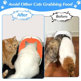 Front Cover for Automatic Microchip Pet Feeder, Avoid Pets competing for Food, Prevent Food Stealing for Cats and Small Dogs (Orange)