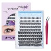 Pokolan False Eyelashes, Upper Eyelashes, Partial False, Natural Butt, Transparent