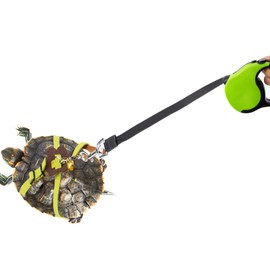 OOXYG Retractable Turtle Leash with Handle, Tortoise Leash and Harness Set Adjustable, Outdoor Walking Training Harness Strap for Turtle/Tortoise, Tortoise Toys, Accessories for Tortoises