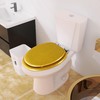 Angol Shiold Glitter Toilet Seat Molded Wood Round Toilet Seat